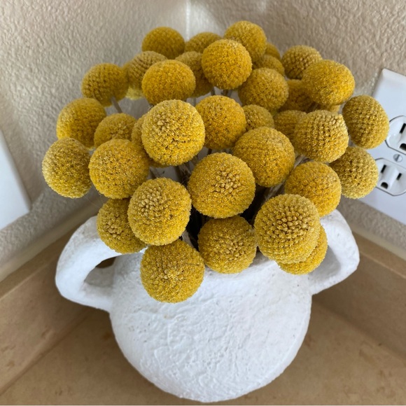 10 STEMS Dried Flowers Craspedia Billy Balls - Picture 4 of 11